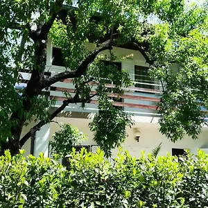 felix-apartment-biograd.hotelinzadar.com/